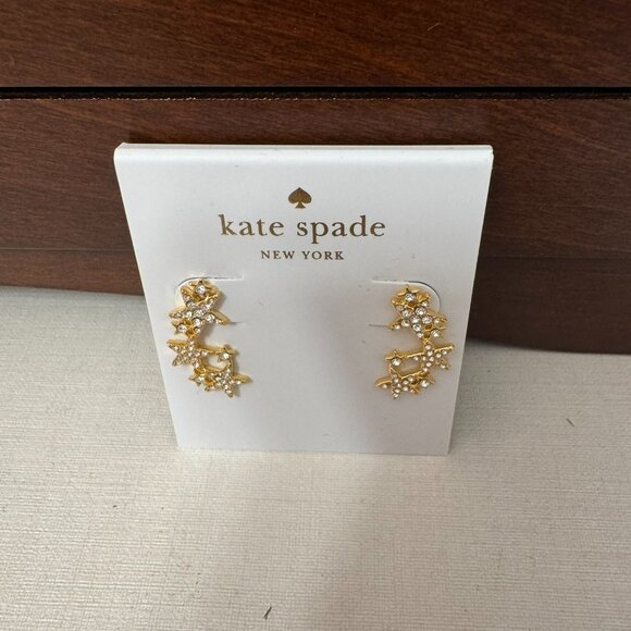 6 Pair Earrings Bundle - Kate Spade and Betsey Johnson - Picture 15 of 16